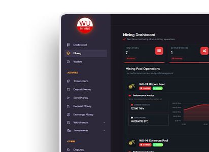 Individual dashboard preview showing personal finance management interface